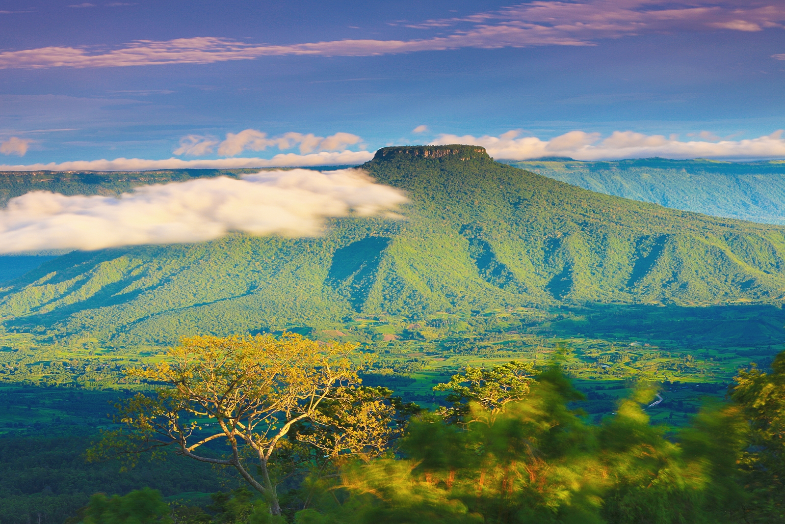 ภูป่าเปาะ (ฟูจิเมืองเลย)