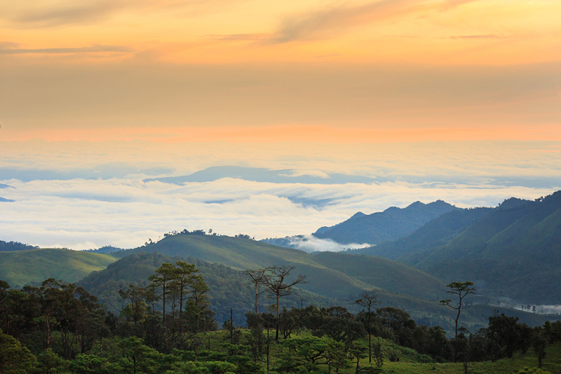 อุทยานแห่งชาติภูสอยดาว